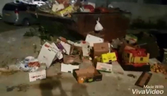  فيديو: اهالي حي الواحة الخضراء يشتكون من تكدّس النفايات قرب مسجد النور